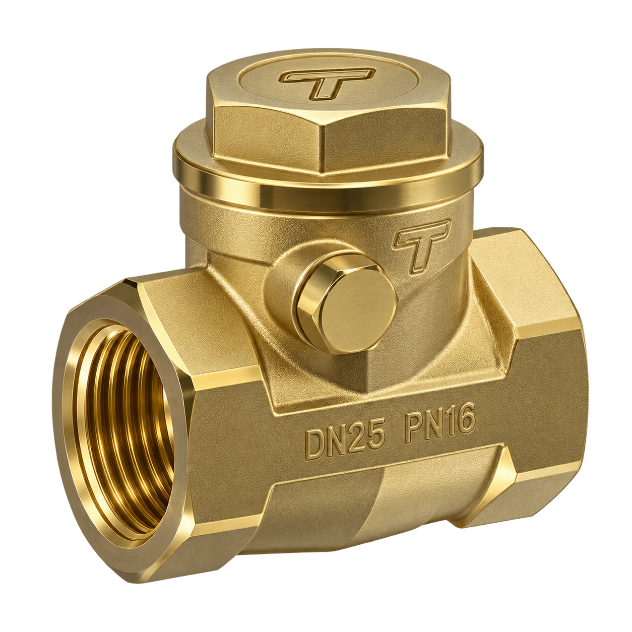 Brass Swing Check Valve Brass Swing Check Valve - Image 1